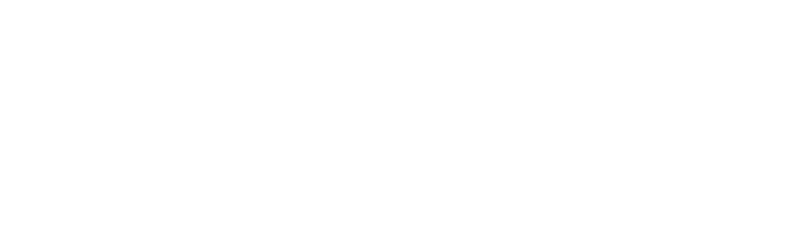 MG_LOGO WHITE